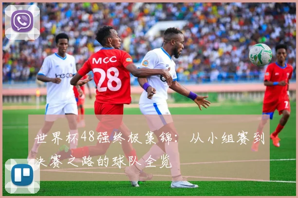 世界杯48强终极集锦:从小组赛到决赛之路的球队全览