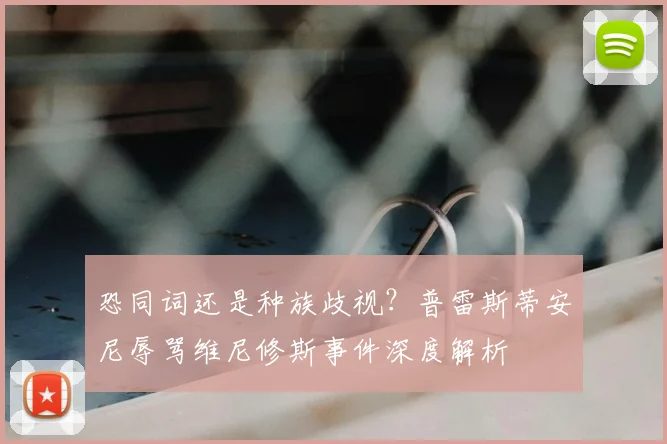 恐同词还是种族歧视?普雷斯蒂安尼辱骂维尼修斯事件深度解析