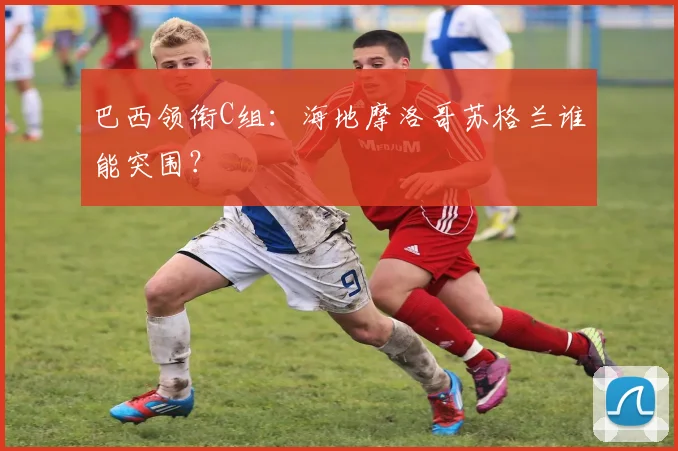 巴西领衔C组：海地摩洛哥苏格兰谁能突围？